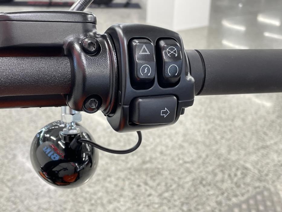 HARLEY-DAVIDSON SOFTAIL 2024