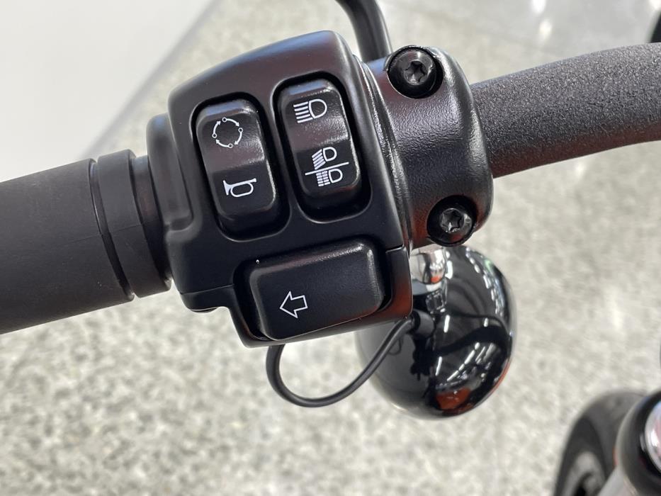 HARLEY-DAVIDSON SOFTAIL 2024