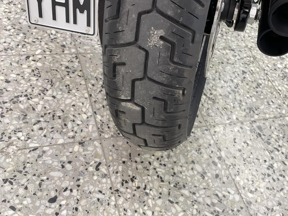 HARLEY-DAVIDSON SOFTAIL 2024