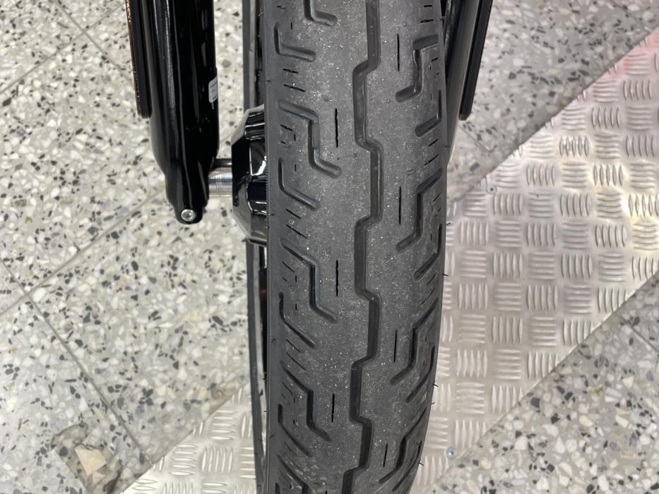 HARLEY-DAVIDSON SOFTAIL 2024