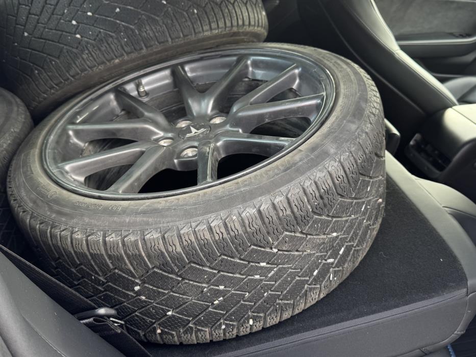 TESLA Model 3 2019