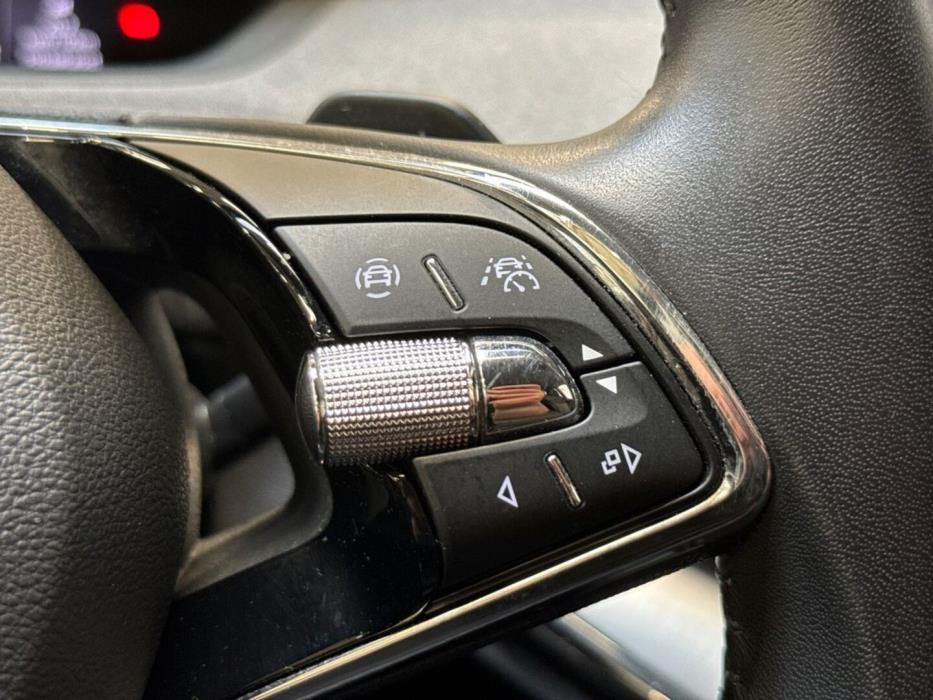 SKODA Enyaq 2022