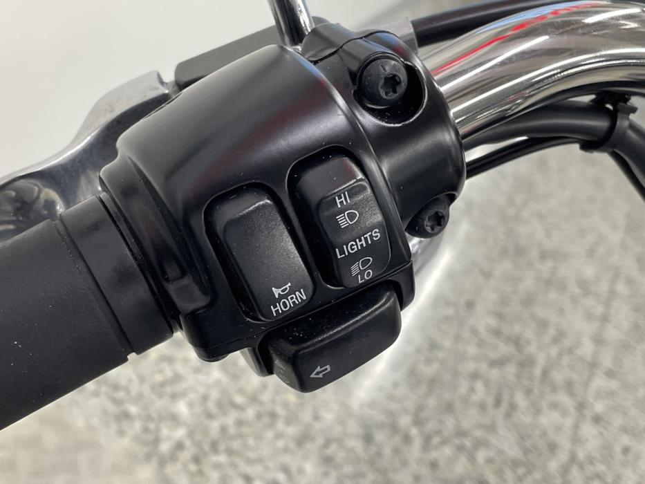 HARLEY-DAVIDSON SOFTAIL 2004