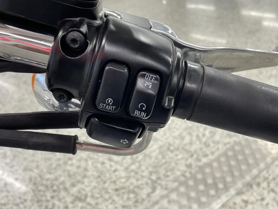 HARLEY-DAVIDSON SOFTAIL 2004