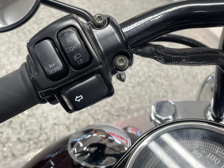 HARLEY-DAVIDSON SOFTAIL 2005