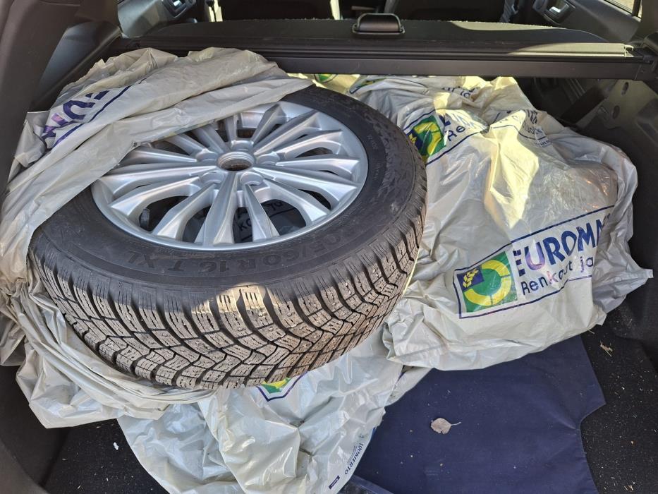 FORD Focus 2019
