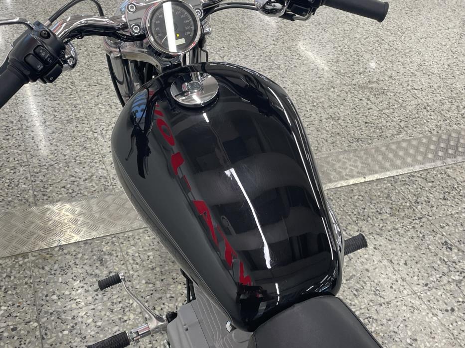 HARLEY-DAVIDSON Sportster 2008