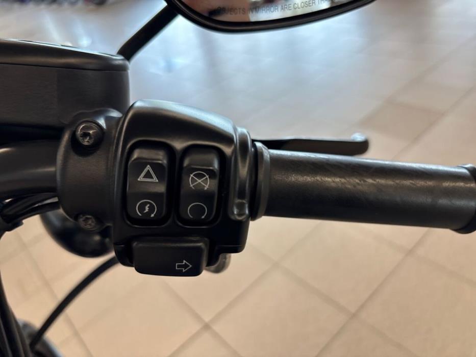 HARLEY-DAVIDSON SPORTSTER 2021