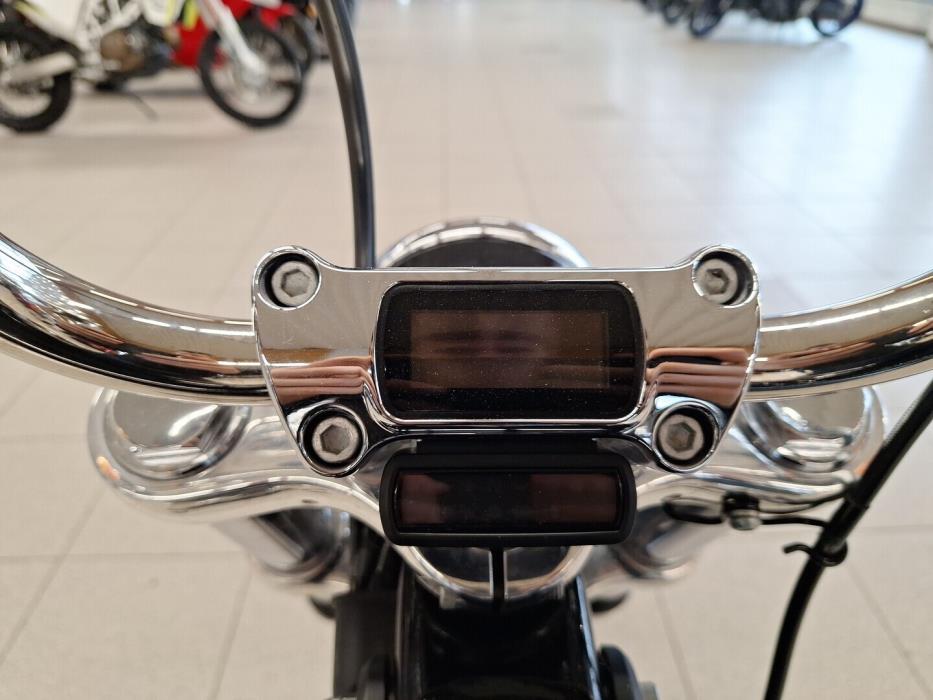 HARLEY-DAVIDSON SOFTAIL 2020