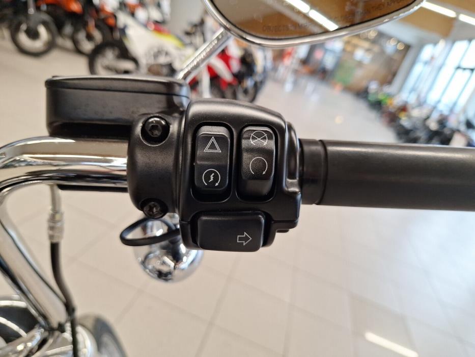 HARLEY-DAVIDSON SOFTAIL 2020
