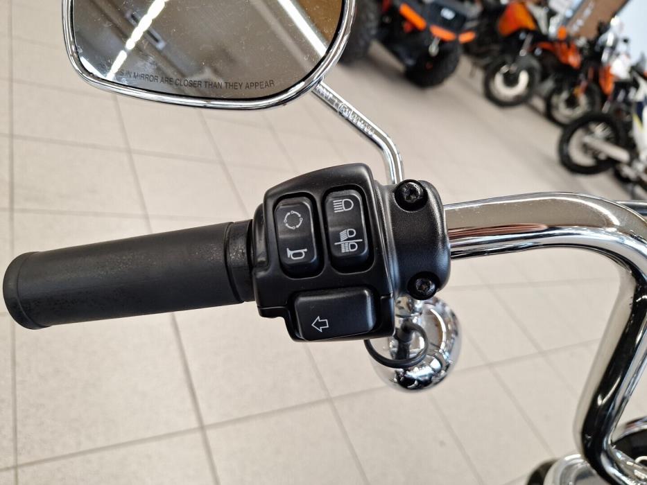 HARLEY-DAVIDSON SOFTAIL 2020