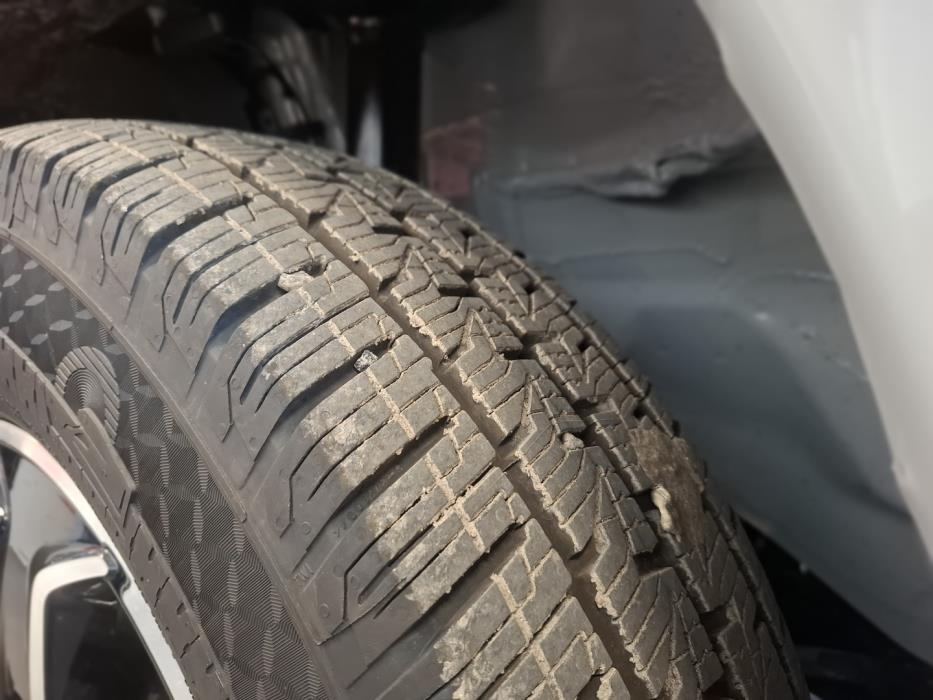 BÜRSTNER SIGNATURE SFT 7.1 2026