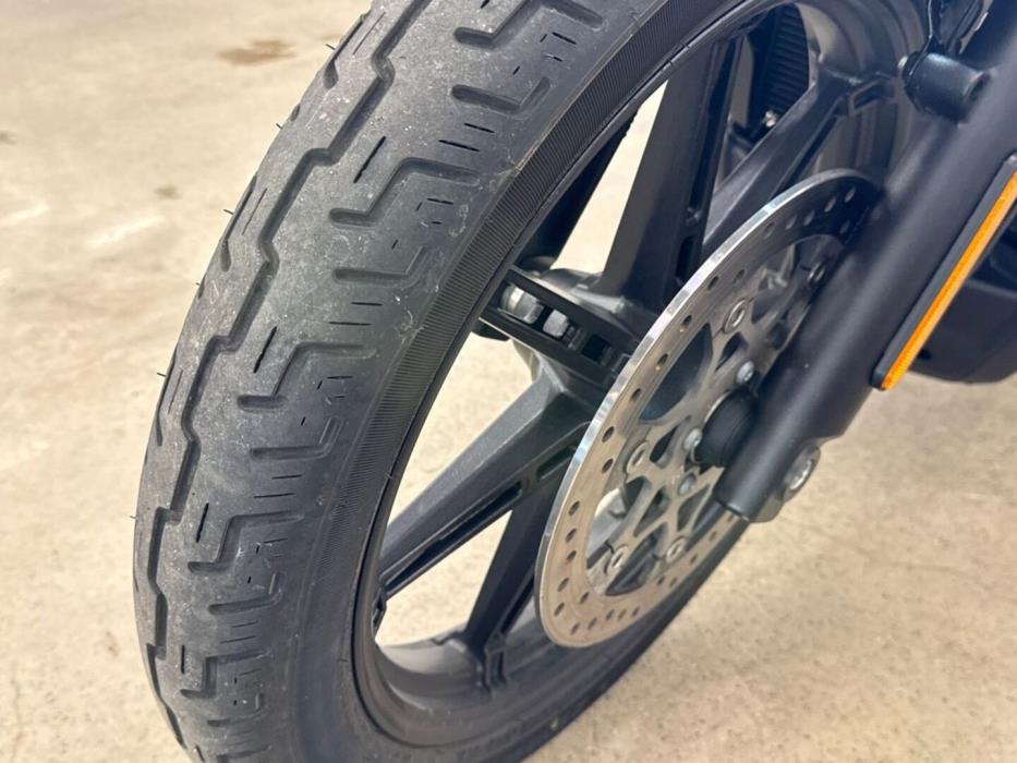 HARLEY-DAVIDSON SPORTSTER 2024