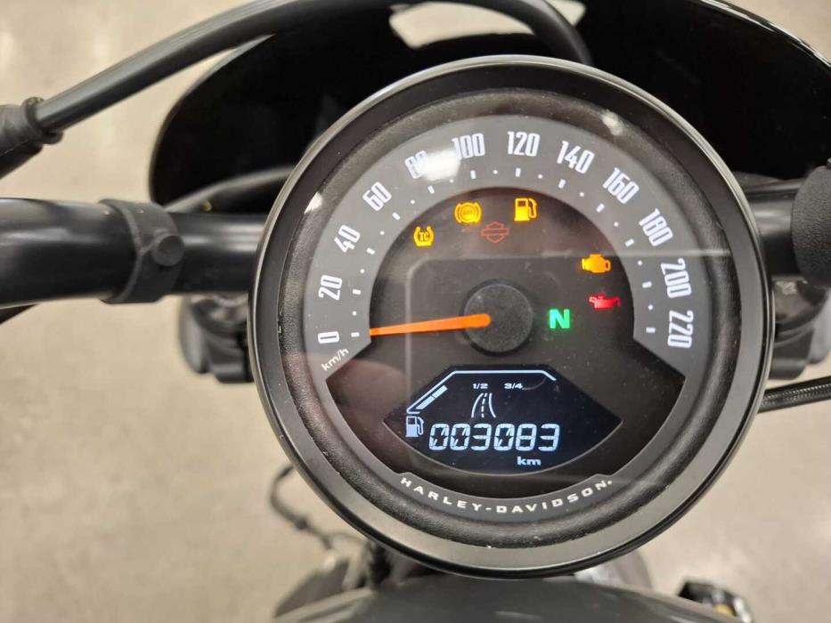 HARLEY-DAVIDSON SPORTSTER 2024
