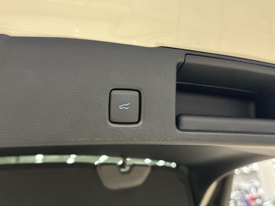 FORD Kuga 2026