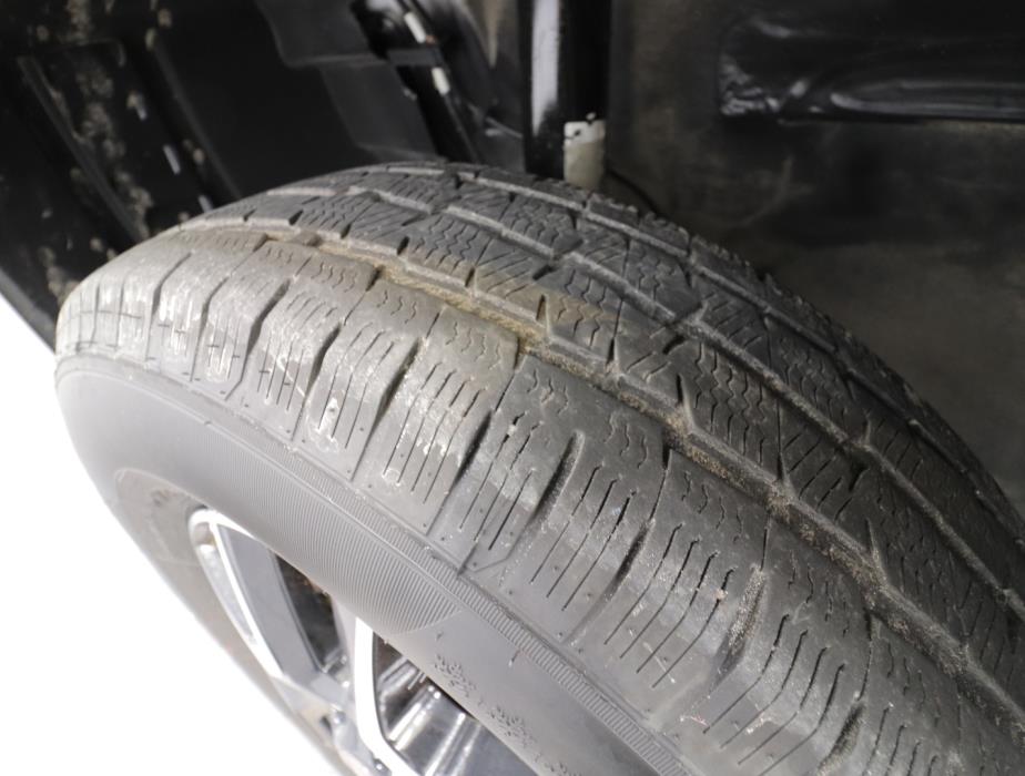 BÜRSTNER LYSEO T 734 HARMONY LINE 2021