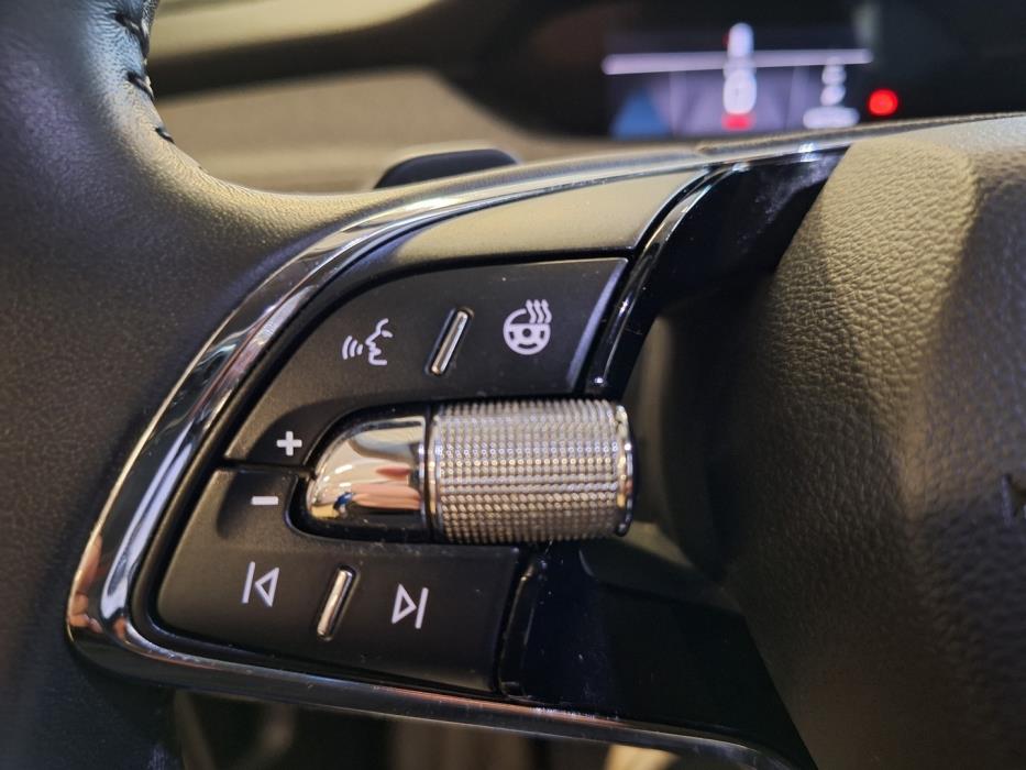 SKODA Enyaq 2021