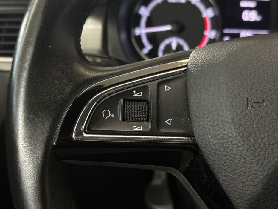 SKODA Rapid 2019