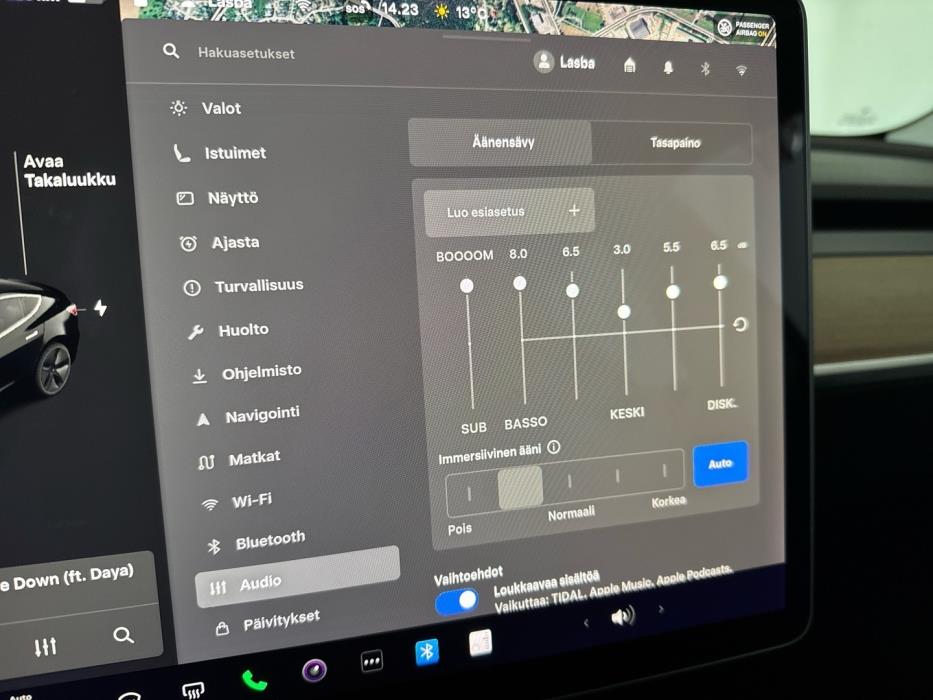 TESLA Model 3 2019