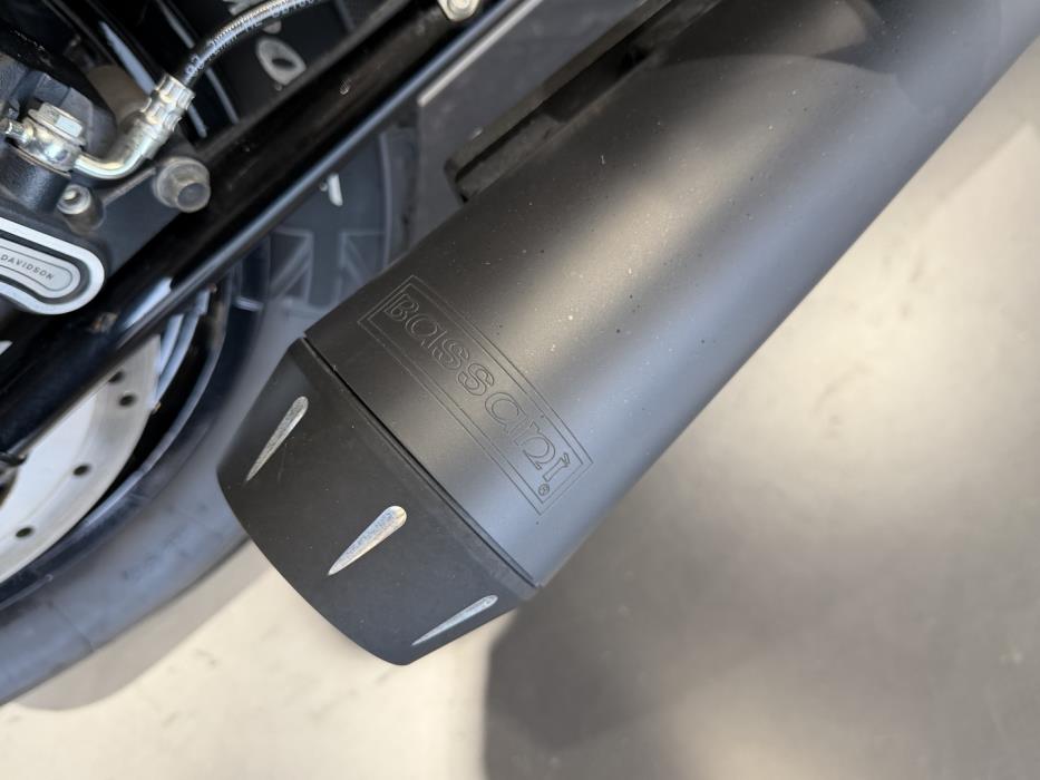 HARLEY-DAVIDSON SOFTAIL 2020