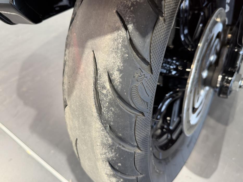HARLEY-DAVIDSON SOFTAIL 2020