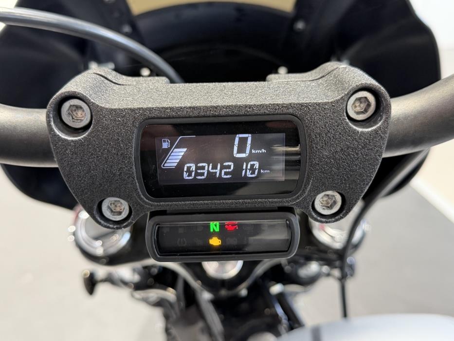 HARLEY-DAVIDSON SOFTAIL 2020