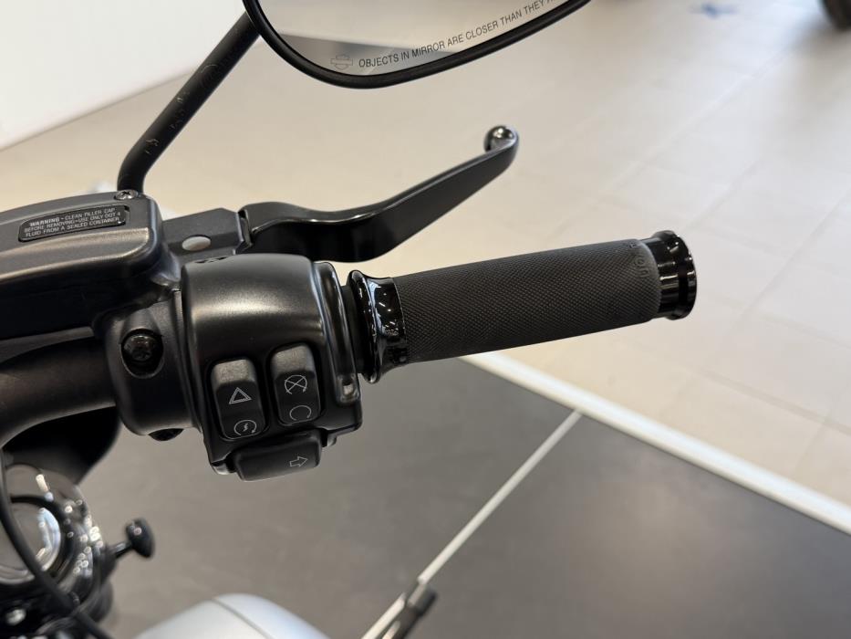HARLEY-DAVIDSON SOFTAIL 2020