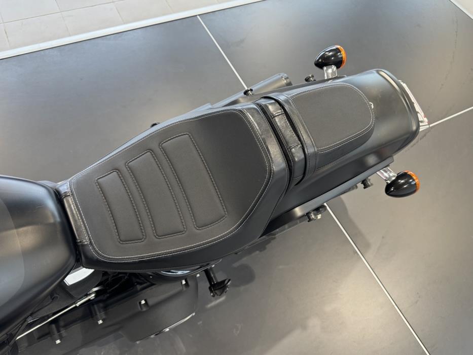 HARLEY-DAVIDSON Softail 2018