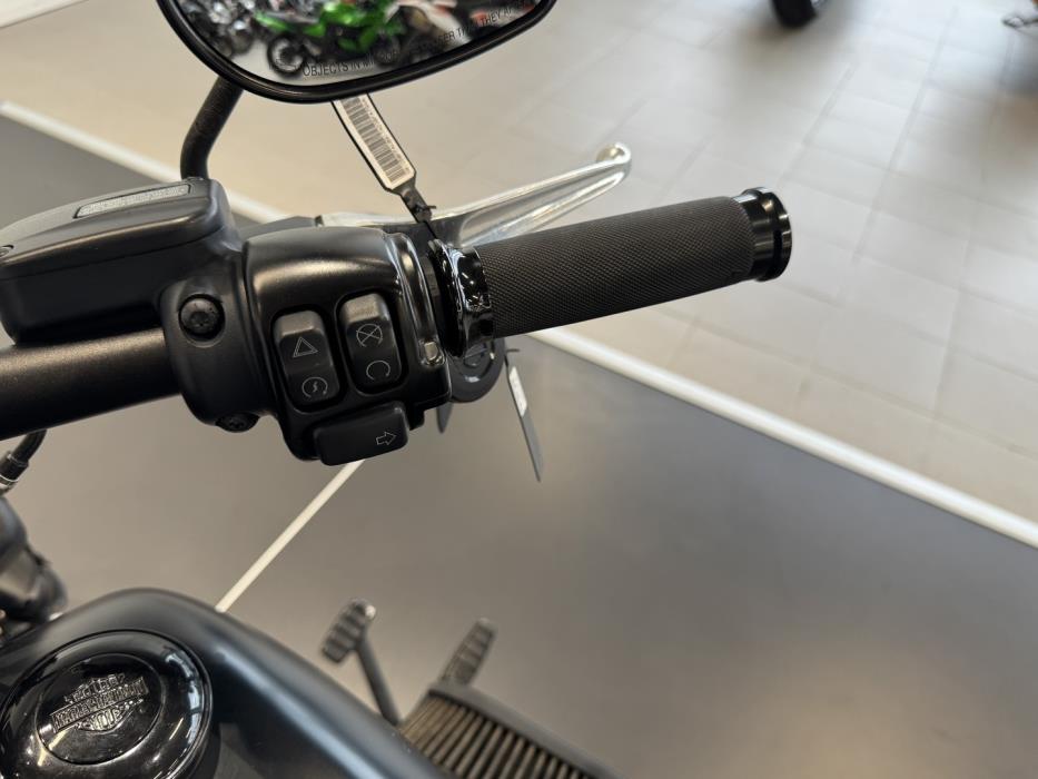 HARLEY-DAVIDSON Softail 2018