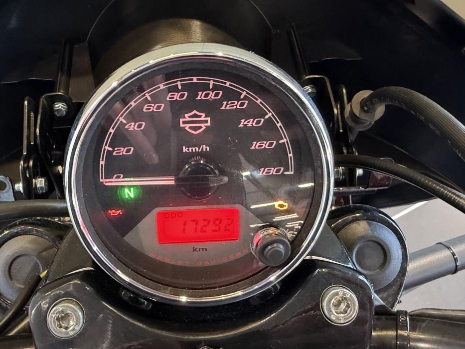 HARLEY-DAVIDSON STREET 2015