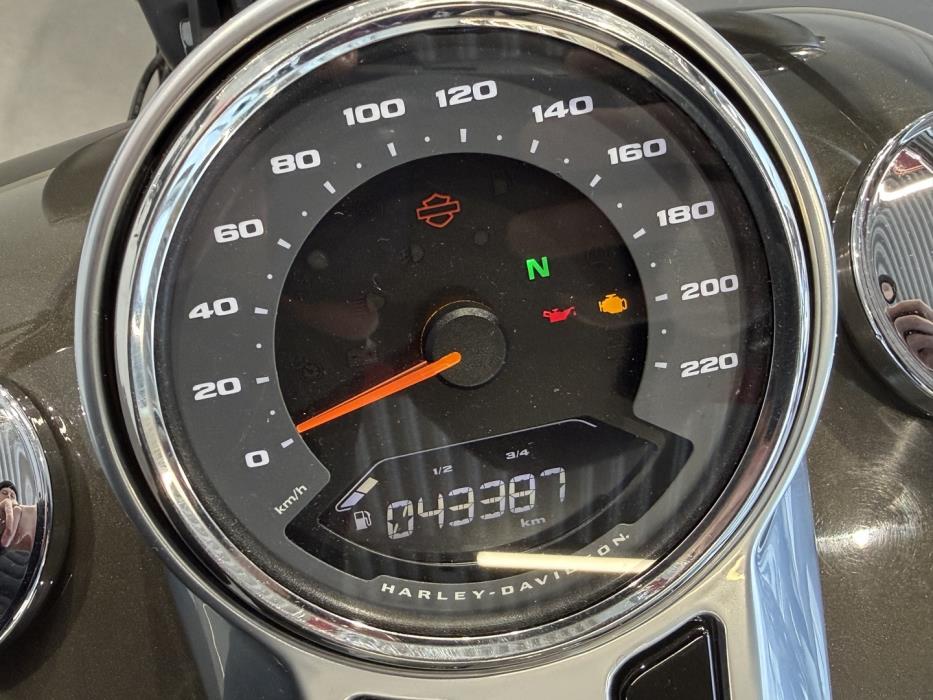 HARLEY-DAVIDSON Softail 2018