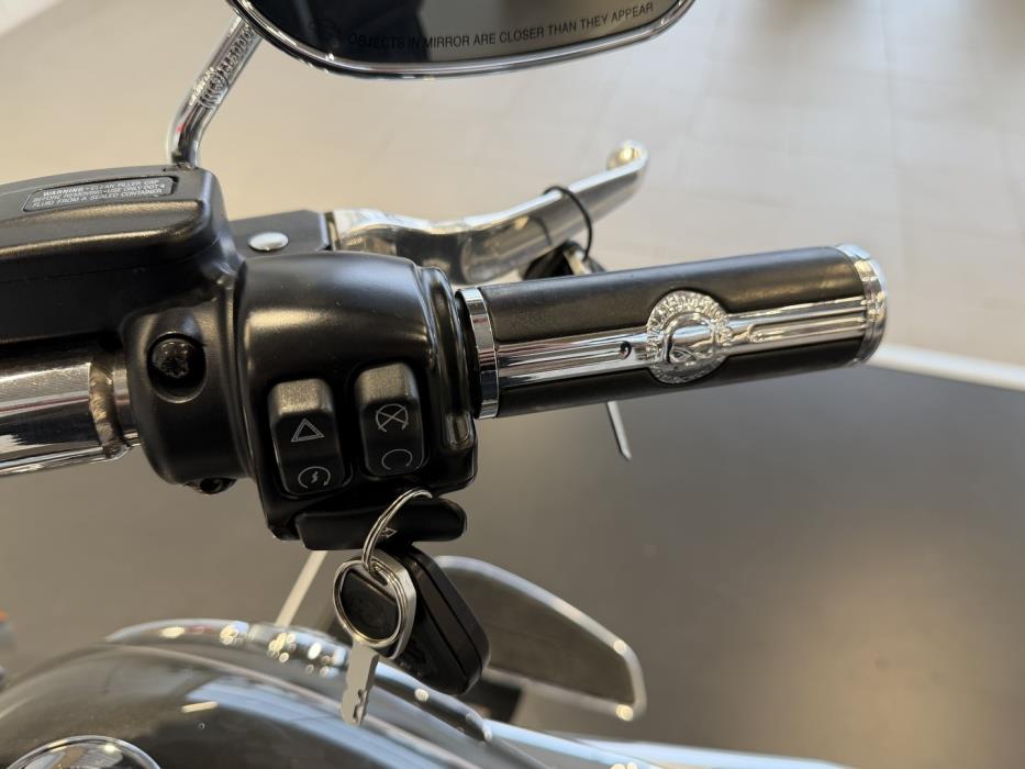 HARLEY-DAVIDSON Softail 2018