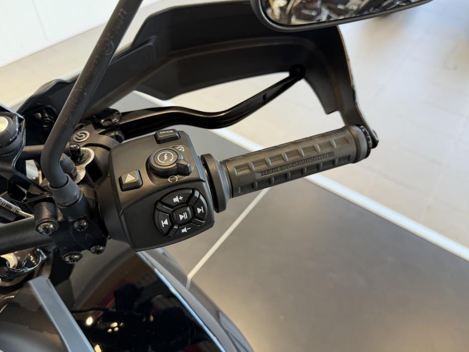 HARLEY-DAVIDSON PAN AMERICA 2022