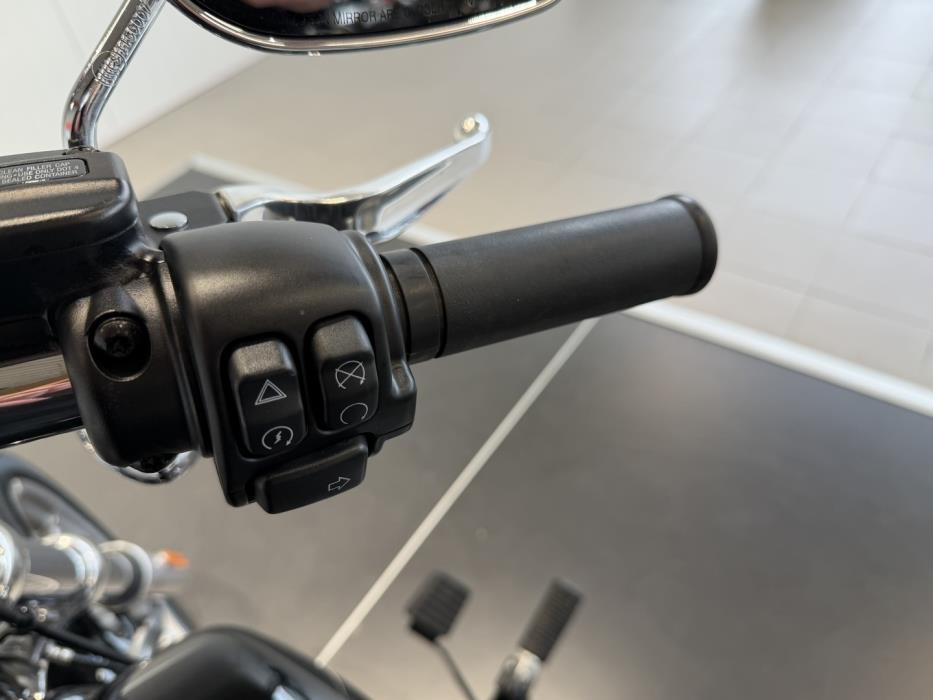 HARLEY-DAVIDSON SOFTAIL 2022