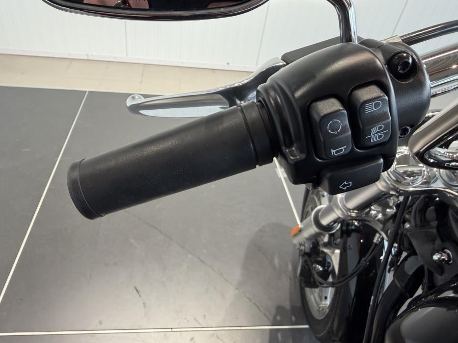 HARLEY-DAVIDSON SOFTAIL 2022