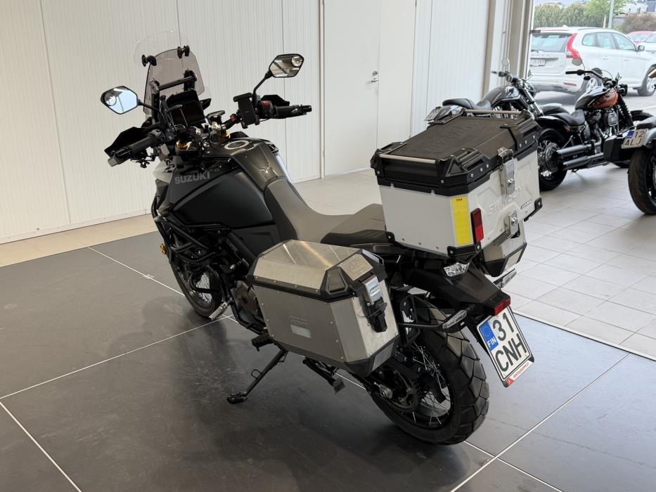 SUZUKI DL 2024