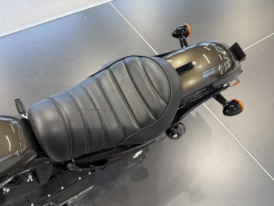 HARLEY-DAVIDSON SPORTSTER 2020