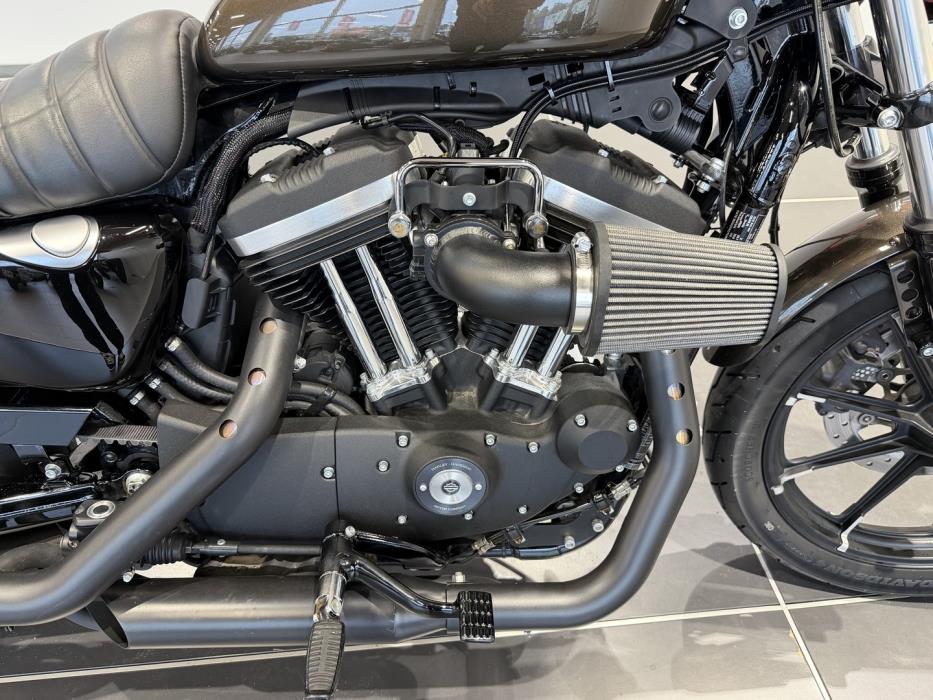 HARLEY-DAVIDSON SPORTSTER 2020