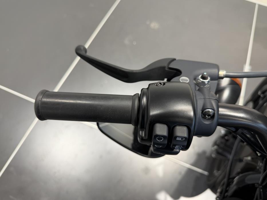 HARLEY-DAVIDSON SPORTSTER 2020