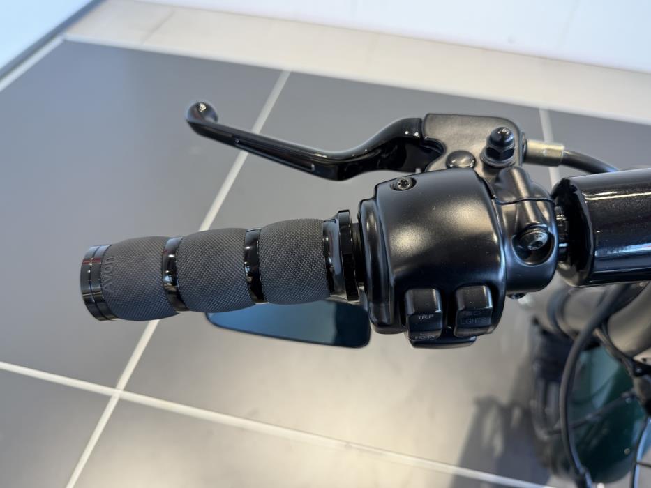 HARLEY-DAVIDSON SOFTAIL 2014