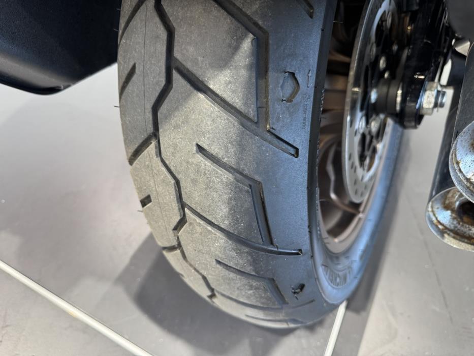 HARLEY-DAVIDSON SOFTAIL 2022