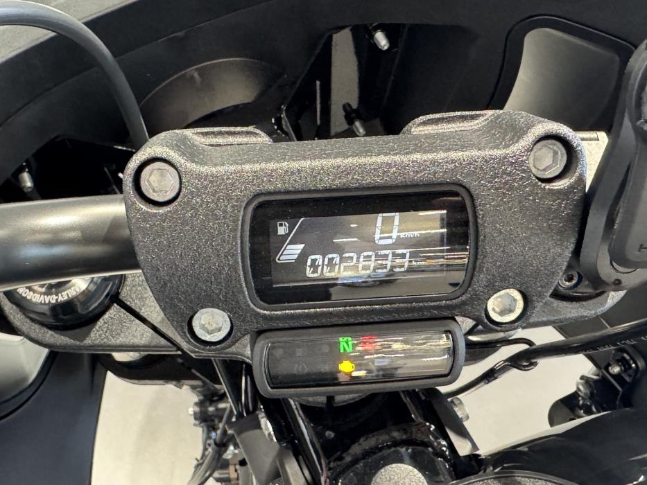 HARLEY-DAVIDSON SOFTAIL 2022