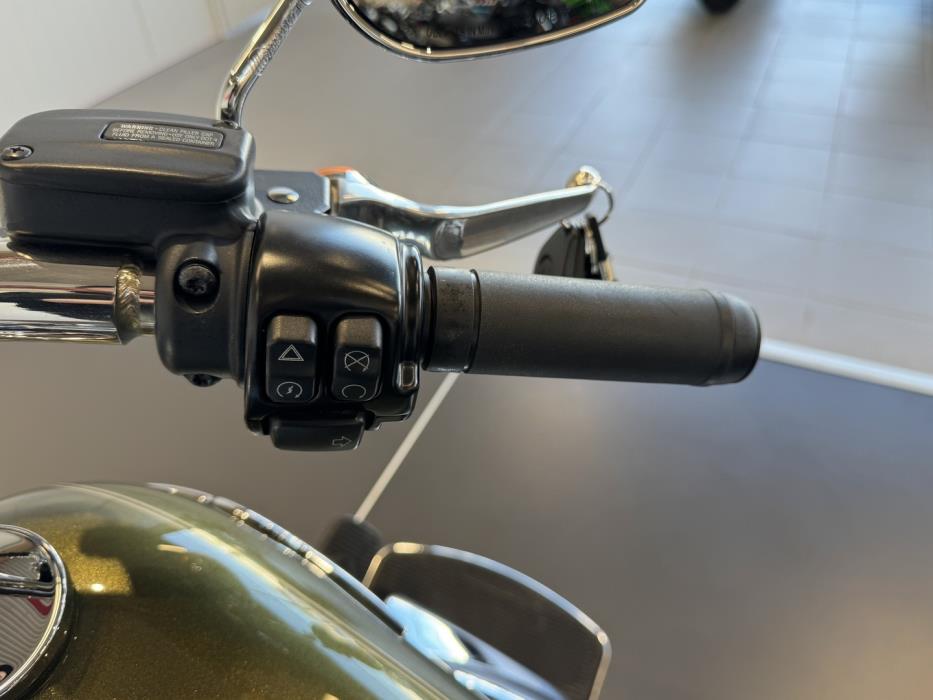 HARLEY-DAVIDSON SOFTAIL 2017