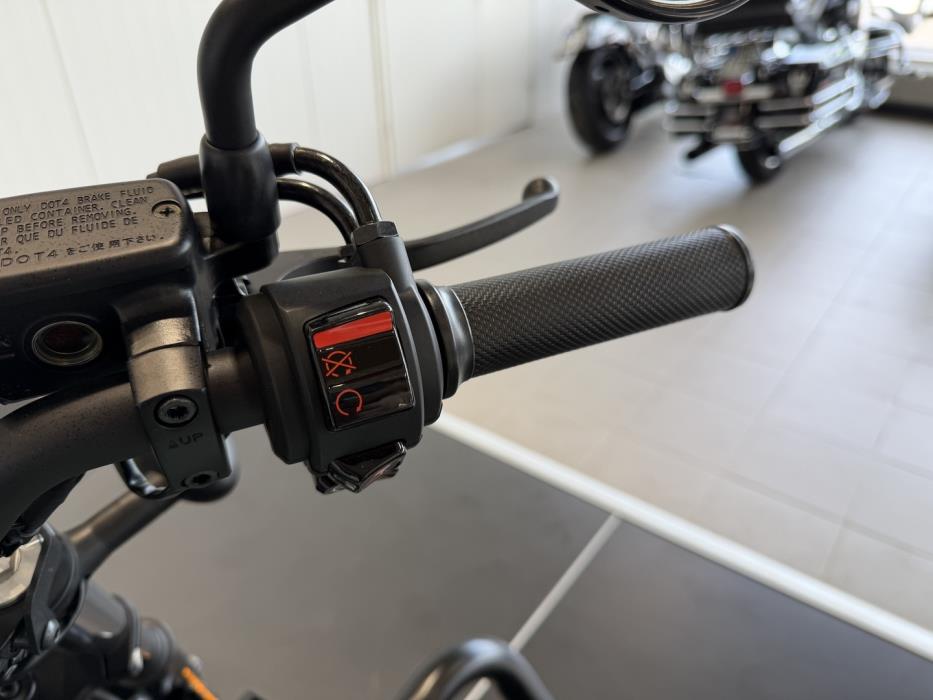 HONDA REBEL 2022