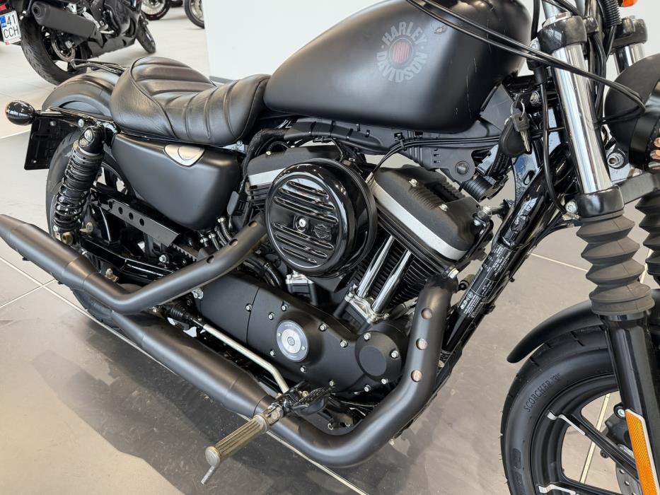 HARLEY-DAVIDSON SPORTSTER 2020