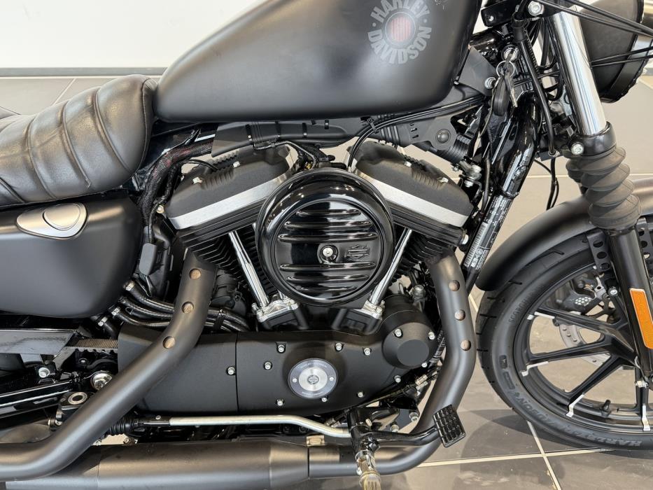 HARLEY-DAVIDSON SPORTSTER 2020