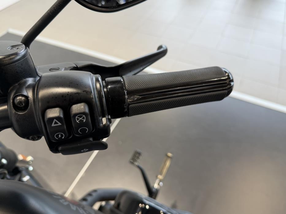 HARLEY-DAVIDSON SPORTSTER 2020