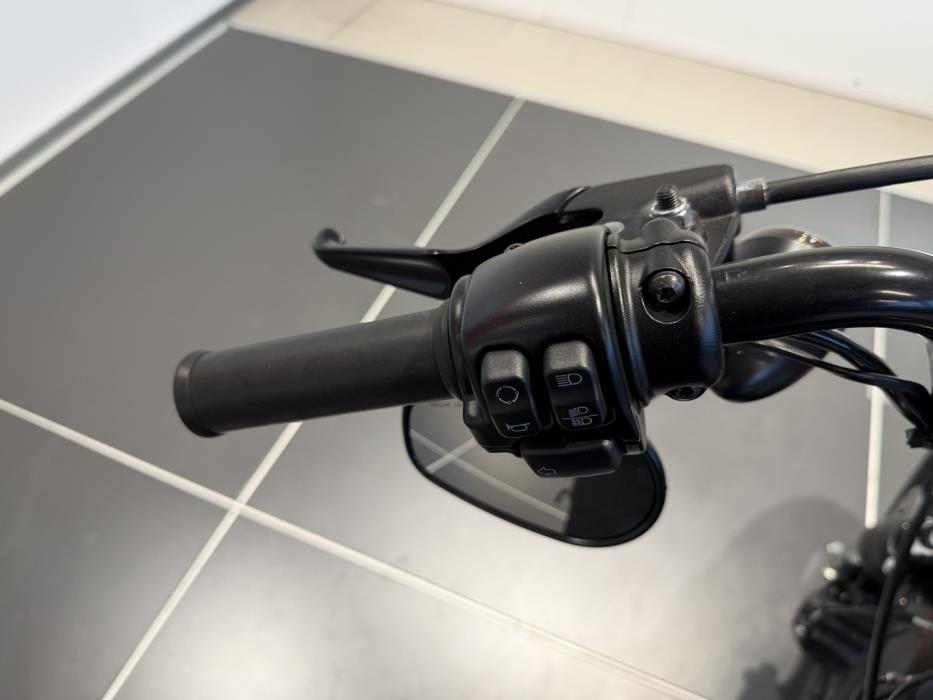 HARLEY-DAVIDSON SPORTSTER 2020