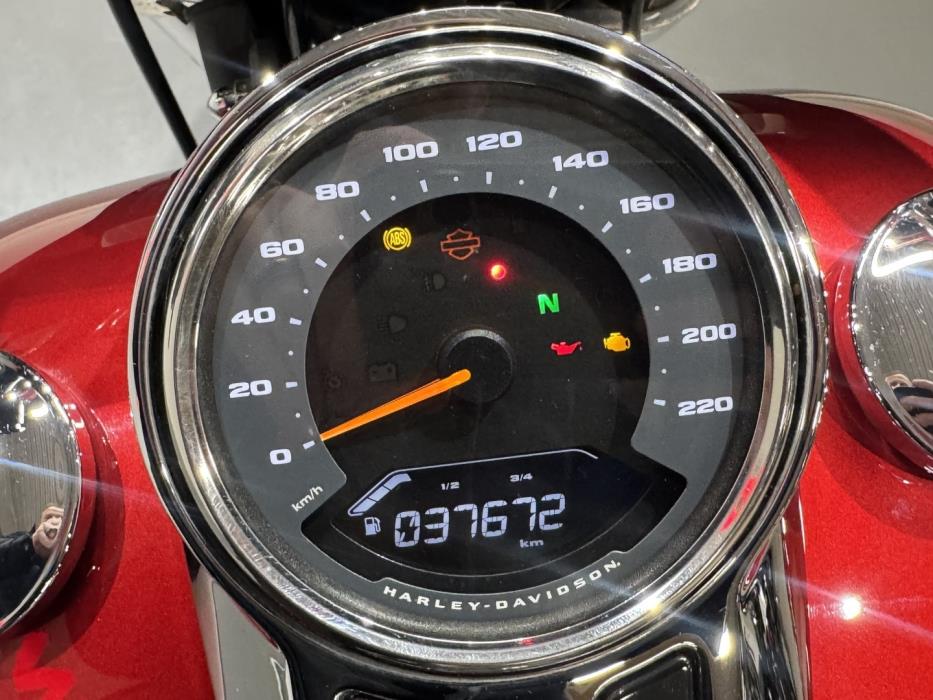 HARLEY-DAVIDSON SOFTAIL 2019