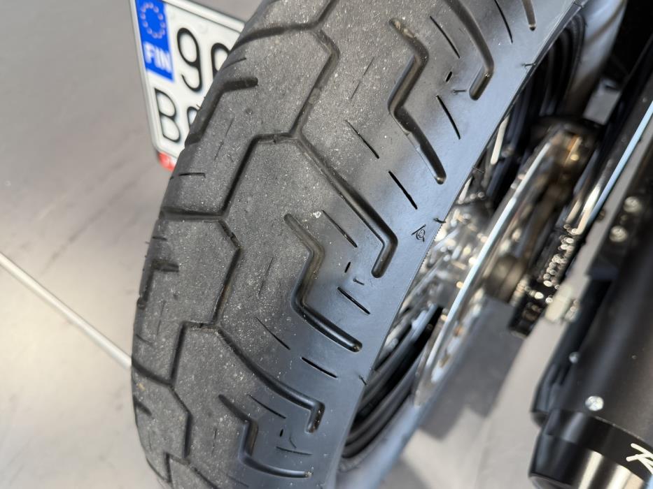 HARLEY-DAVIDSON SOFTAIL 2021